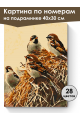 Картина по номерам на подрамнике «Воробьи» 40x30 см