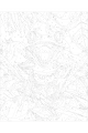 Картина по номерам без подрамника «Лягушка» 50x40 см