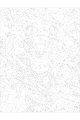 Картина по номерам без подрамника «Лягушка» 40x30 см
