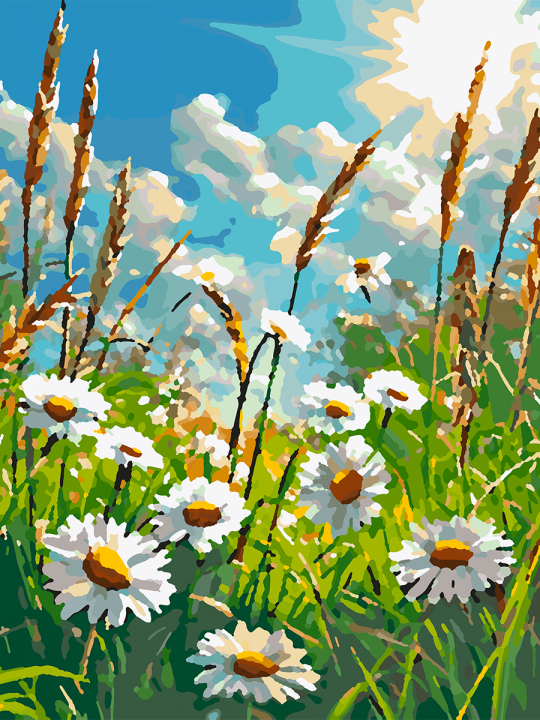 Картина по номерам без подрамника «Ромашки» 40x30 см