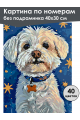 Картина по номерам без подрамника «Белая болонка» 40x30 см