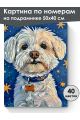 Картина по номерам на подрамнике «Белая болонка» 50x40 см