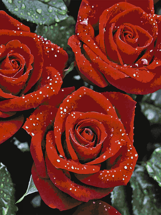 Картина по номерам без подрамника «Красные розы» 130x100 см