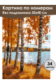 Картина по номерам без подрамника «Берег озера» 50x40 см