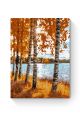 Картина по номерам на подрамнике «Берег озера» 50x40 см