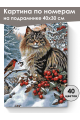 Картина по номерам на подрамнике «Пушистый кот» 40x30 см