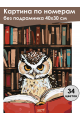Картина по номерам без подрамника «Мудрая сова» 40x30 см