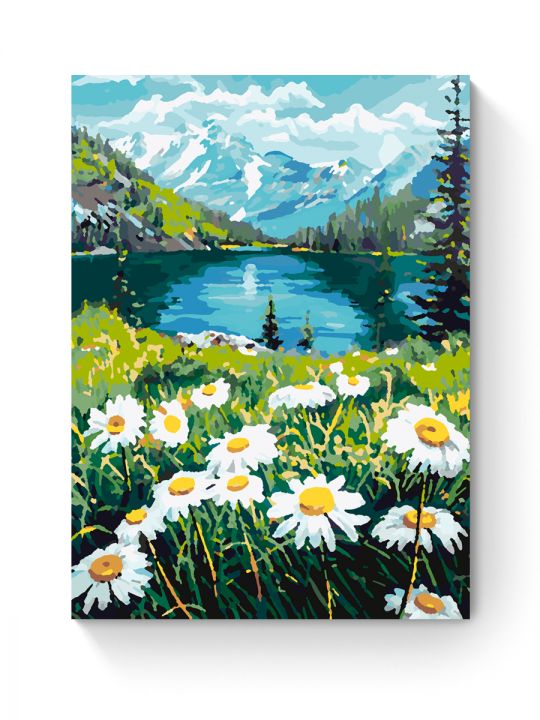 Картина по номерам на подрамнике «Ромашки» 40x30 см