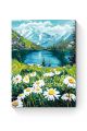 Картина по номерам на подрамнике «Ромашки» 50x40 см
