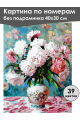 Картина по номерам без подрамника «Букет пионов» 40x30 см