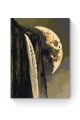 Картина по номерам на подрамнике «Лик луны» 40x30 см