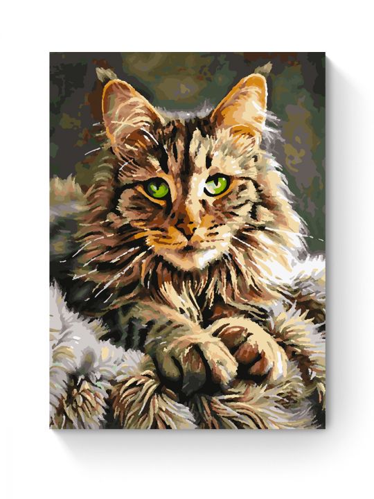 Картина по номерам на подрамнике «Мейн-кун» 50x40 см