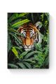 Картина по номерам на подрамнике «Тигр в засаде» 50x40 см