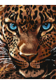 Картина по номерам без подрамника «Леопард» 25x20 см