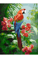 Картина по номерам без подрамника «Попугаи ара» 40x30 см