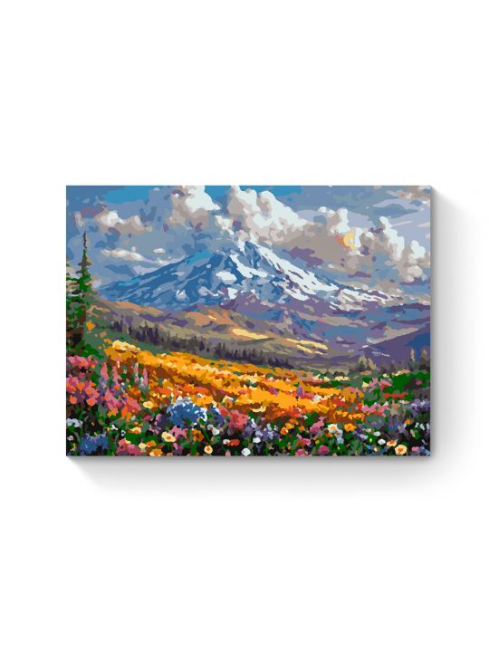 Картина по номерам на подрамнике «Горная долина» 40x30 см