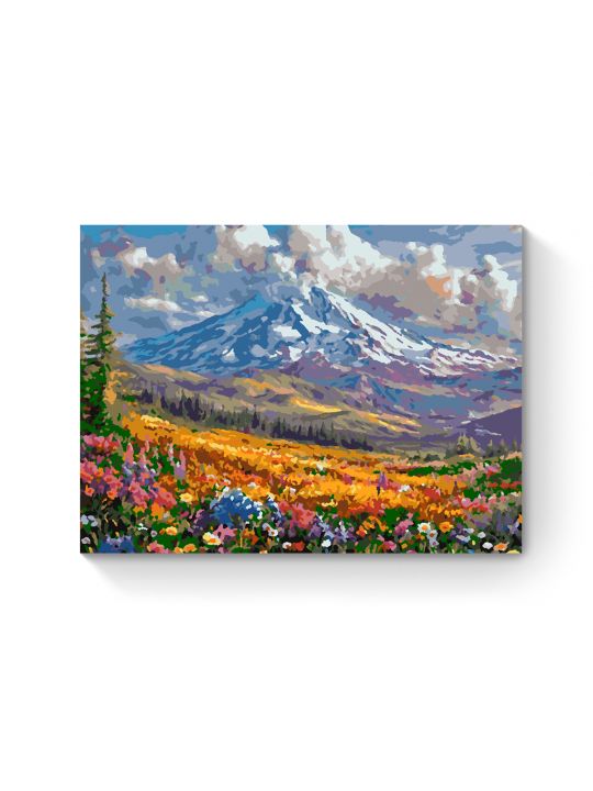 Картина по номерам на подрамнике «Горная долина» 50x40 см