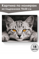 Картина по номерам на подрамнике «Серый котёнок» 70x50 см