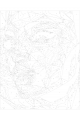 Картина по номерам без подрамника «Дива Африки» 50x40 см