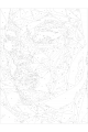 Картина по номерам на подрамнике «Дива Африки» 40x30 см