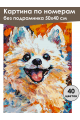Картина по номерам без подрамника «Яркий шпиц» 50x40 см