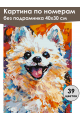 Картина по номерам без подрамника «Яркий шпиц» 40x30 см