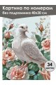 Картина по номерам без подрамника «Белая голубка» 40x30 см