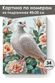 Картина по номерам на подрамнике «Белая голубка» 40x30 см