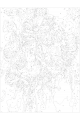 Картина по номерам на подрамнике «Красные маки» 40x30 см