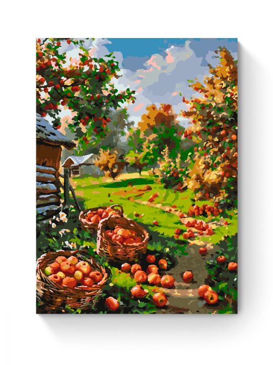 Картина по номерам на подрамнике «Урожай яблок» 50x40 см