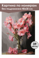 Картина по номерам без подрамника «Гладиолусы» 40x30 см