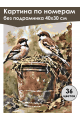 Картина по номерам без подрамника «Воробьи» 40x30 см
