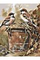 Картина по номерам без подрамника «Воробьи» 40x30 см