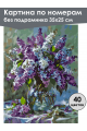 Картина по номерам без подрамника «Букет сирени» 35x25 см