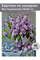 Картина по номерам без подрамника «Букет сирени» 35x25 см