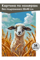 Картина по номерам без подрамника «Овечка» 50x40 см