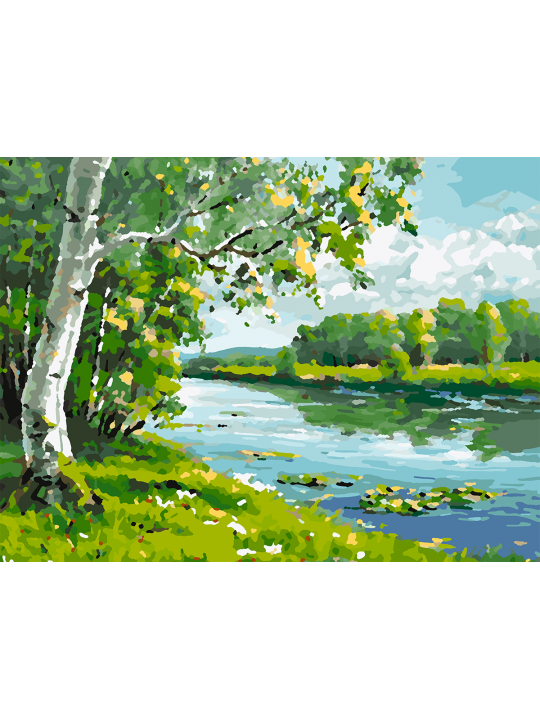 Картина по номерам без подрамника «Береза у реки» 40x30 см