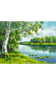 Картина по номерам без подрамника «Береза у реки» 40x30 см