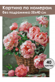 Картина по номерам без подрамника «Розовые пионы» 50x40 см