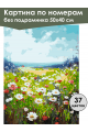 Картина по номерам без подрамника «Полевые цветы» 50x40 см