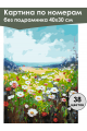 Картина по номерам без подрамника «Полевые цветы» 40x30 см