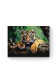 Картина по номерам на подрамнике «Тигренок» 40x30 см