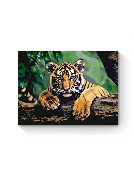 Картина по номерам на подрамнике «Тигренок» 50x40 см