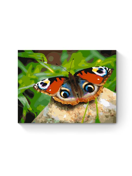 Картина по номерам на подрамнике «Яркая бабочка» 25x20 см