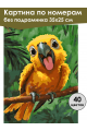 Картина по номерам без подрамника «Попугайчик» 35x25 см
