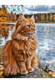 Картина по номерам без подрамника «Рыжий кот» 25x20 см