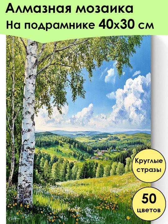 Алмазная мозаика на подрамнике «Береза на холме» 40x30 см, 50 цветов