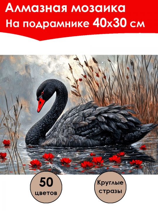 Алмазная мозаика на подрамнике «Черный лебедь» 40x30 см, 50 цветов