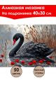 Алмазная мозаика на подрамнике «Черный лебедь» 40x30 см, 50 цветов