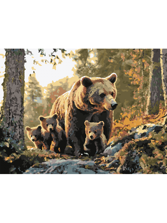 Картина по номерам без подрамника «Медведица» 40x30 см